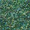 11/0 Two Cut Glass Seed Beads CSDB167B-2
