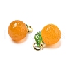 Dyed Natural Agate Orange Charms G-U025-07G-2