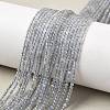 Natural Labradorite Beads Strands G-RM241221-A10-1