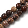 Natural Gemstone Beads Strands G-R494-A22-02-1