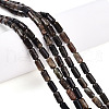 Natural Biotite Beads Strands G-N346-01A-02-1