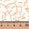 Glass Bugle Beads SEED-N007-28L-4