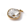 316 Stainless Steel Faceted Glass Pendants STAS-K258-47G-03-2