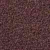 MIYUKI Round Rocailles Beads SEED-X0055-RR0301-3