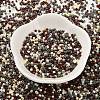Baking Paint Glass Seed Beads SEED-S042-05B-55-2