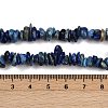 Natural Lapis Lazuli Beads Strands G-Q060-C04-5
