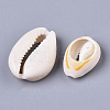 Natural Cowrie Shell Beads SSHEL-N034-34-3