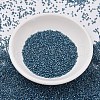 MIYUKI Delica Beads SEED-J020-DB2384-2