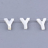 Natural Sea Shell Beads SHEL-T012-60Y-1