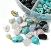 60G 6 Styles Natural & Synthetic  Gemstone Beads Chips G-FS0005-80-3