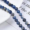 Natural Sodalite Beads Strands G-S279-10-6mm-5