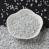 Baking Paint Glass Seed Beads SEED-S042-15A-01-3