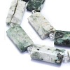 Natural Tree Agate Beads Strands G-E530-16L-3