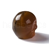 Natural Agate Beads G-I352-16-3