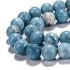 Natural Gemstone Beads Strands G-L367-01-12mm-5