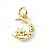 Brass Micro Pave Cubic Zirconia Charms ZIRC-F132-33G-2