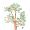Mother's Day Natural Green Aventurine Chips with Brass Wrapped Wire Money Tree on Ceramic Vase Display Decorations DJEW-B007-02A-2