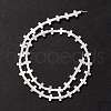Natural Trochid Shell/Trochus Shell Beads SSHEL-O0001-22B-2