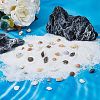 DICOSMETIC 119G 15 Styles Natural Mixed Shell Beads Sets BSHE-DC0001-01-4