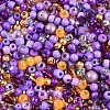Glass Seed Beads SEED-N007-13N-3