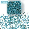 60G(672pcs) Natural Apatite Chip Beads G-YW0001-83-2