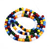 Opaque Glass Beads Strands GLAA-T006-10C-2