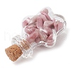 3Pcs Glass Wishing Bottle Decorations PALLOY-JF03092-5