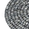Natural Larvikite Beads Strands G-P575-A38-6x4mm-3