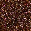 Spray Painted Glass Seed Beads SEED-F005-03A-03-3
