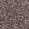 MIYUKI Delica Beads SEED-J020-DB2395-3