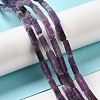 Natural Lepidolite/Purple Mica Stone Beads Strands G-E612-C05-A-2