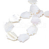 Natural Freshwater Shell Beads Strands SHEL-S278-04-A01-4