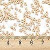 Opaque Colours Glass Seed Beads SEED-S042-09A-03-4