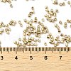 Electroplate Glass Seed Beads SEED-S042-01B-11-4