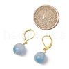 4 Pairs Resin Imitation Cat Eye Leverback Earrings EJEW-JE06350-4