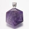 Natural Amethyst Gemstone Pendants G-E338-09K-2