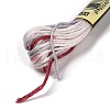 10 Skeins 6-Ply Polyester Embroidery Floss OCOR-K006-A54-2