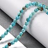 Natural Howlite Beads Strands G-C025-02C-06-2