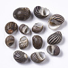 Natural Conch Shell Beads SSHEL-S258-89-2