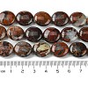 Natural Brecciated Jasper Beads Strands G-K365-B20-03-5