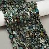 Natural African Turquoise(Jasper) Beads Strands G-Q060-E14-1