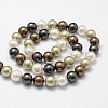 Shell Pearl Bead Strands X-BSHE-L017-18-2