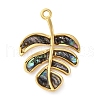 304 Stainless Steel Pave Natural Paua Shell/Abalone Shell Leaf Pendants STAS-S163-23G-1