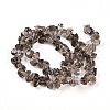 Natural Smoky Quartz Beads Strands G-B072-A01-01-01-2