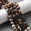 Natural Mexico Crazy Agate Beads Strands G-L615-A01-02-2