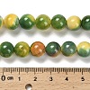 Dyed Natural Agate Beads Strands G-G203-09G-10mm-5