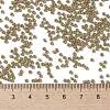 TOHO Round Seed Beads X-SEED-TR11-1209-4