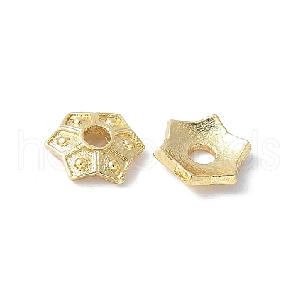 Flower Brass Bead Caps KK-F892-34G-06-1