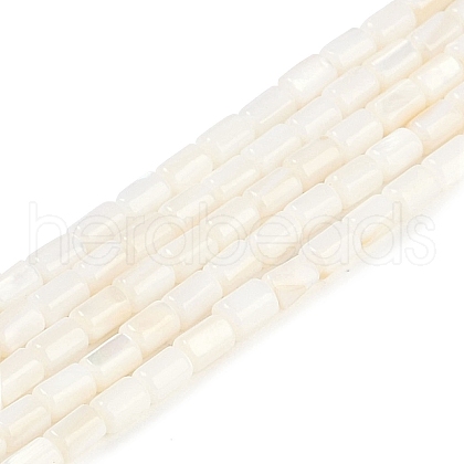 Natural Freshwater Shell Beads Strands BSHE-H109-17A-1