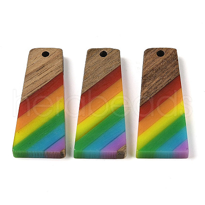 Pride Rainbow Theme Resin & Walnut Wood Pendants WOOD-K012-10B-1